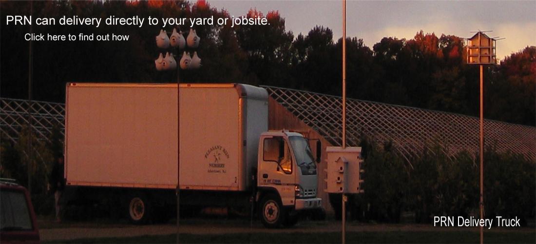 PRN Delivery Trucks