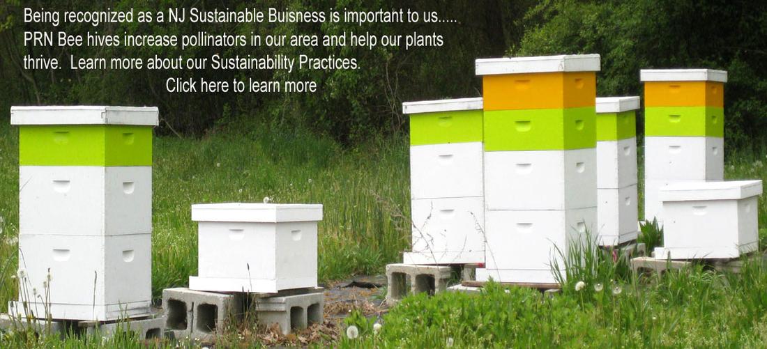 PRN Bee Hives